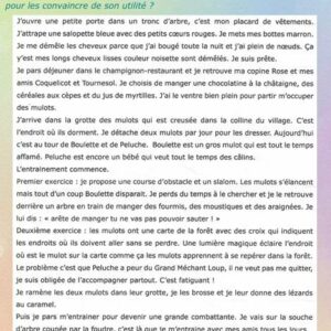 Version Numérique